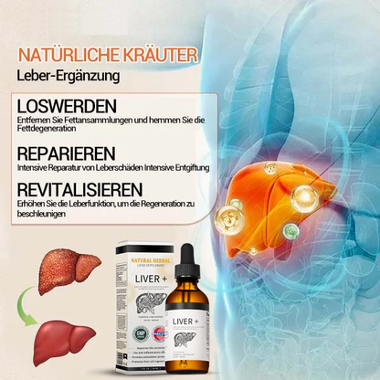 AnnieCare® Natürliches Leber-Kräuterpräparat – Starke Leberunterstützung – Entgiftung & Regeneration – Unterstützt gesunde Blutzucker- und Blutfettwerte