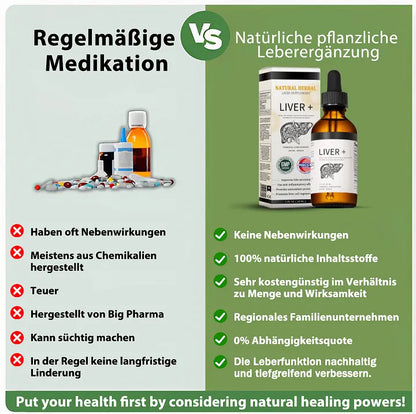 AnnieCare® Natürliches Leber-Kräuterpräparat – Starke Leberunterstützung – Entgiftung & Regeneration – Unterstützt gesunde Blutzucker- und Blutfettwerte