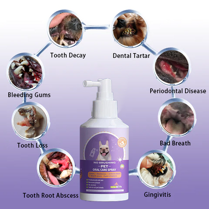 🔥Pets Teeth Cleaning Spray for Cats& Dogs, Eliminate Bad Breath, Targets Tartar & Plaque, Without Brushing🔥