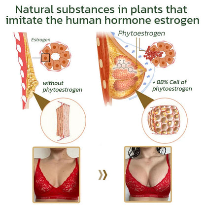 AnnieCare® Pueraria Mirifica Papaya Breast Enhancement Capsules 📈（𝑭𝒖𝒍𝒍𝒆𝒓 𝑩𝒓𝒆𝒂𝒔𝒕𝒔 - 𝑩𝒐𝒐𝒔𝒕𝒔 𝑭𝒂𝒕 𝑴𝒆𝒕𝒂𝒃𝒐𝒍𝒊𝒔𝒎 - 𝑹𝒆𝒔𝒕𝒐𝒓𝒆𝒔 𝑺𝒌𝒊𝒏 𝑬𝒍𝒂𝒔𝒕𝒊𝒄𝒊𝒕𝒚）