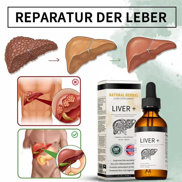 AnnieCare® Natürliches Leber-Kräuterpräparat – Starke Leberunterstützung – Entgiftung & Regeneration – Unterstützt gesunde Blutzucker- und Blutfettwerte
