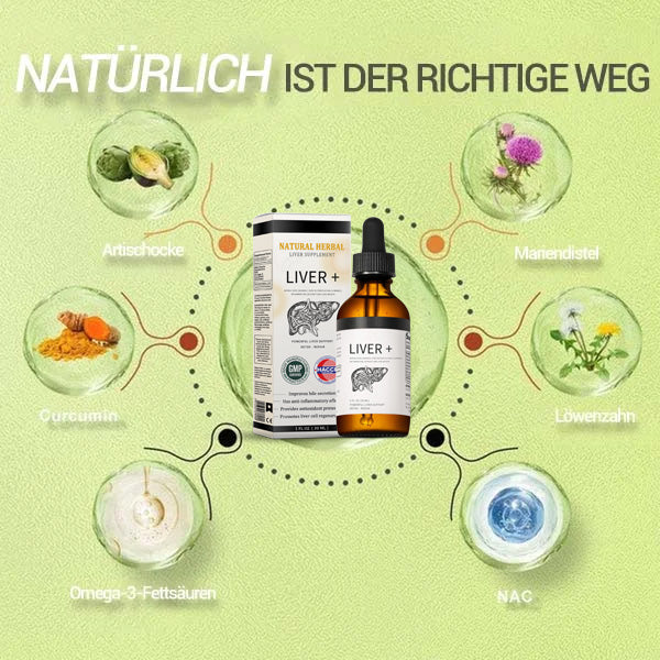 AnnieCare® Natürliches Leber-Kräuterpräparat – Starke Leberunterstützung – Entgiftung & Regeneration – Unterstützt gesunde Blutzucker- und Blutfettwerte