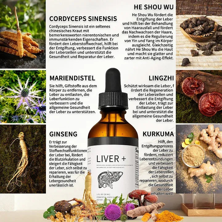 AnnieCare® Natürliches Leber-Kräuterpräparat – Starke Leberunterstützung – Entgiftung & Regeneration – Unterstützt gesunde Blutzucker- und Blutfettwerte