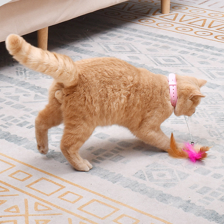 Feather Cat Self-entertainment Toys