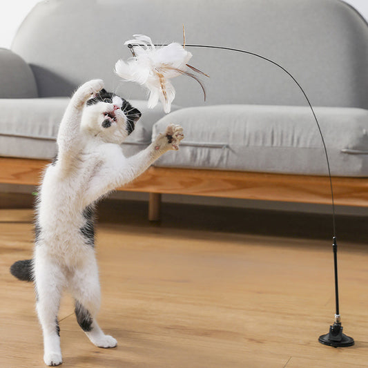 2 in 1 Detachable Interactive Feather Teasing Cat Toy