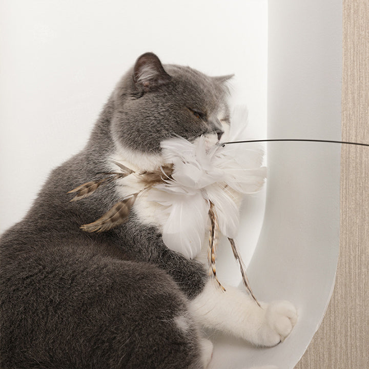 2 in 1 Detachable Interactive Feather Teasing Cat Toy