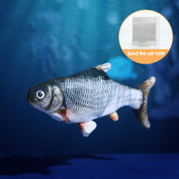 Crucian carp