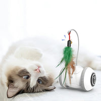 Electric Smart Toys