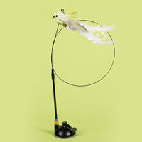 Hibiscus bird
