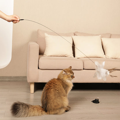 2 in 1 Detachable Interactive Feather Teasing Cat Toy